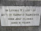 image of grave number 311010